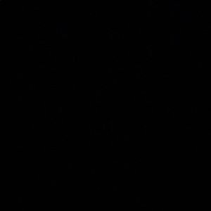 Meet your Posher, Tori